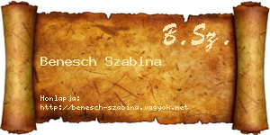 Benesch Szabina névjegykártya